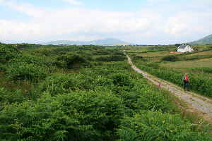 Strasse Irland
